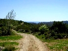 Finca en Cervera