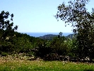 Finca en Cervera
