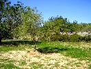 Finca en Cervera