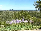 Image 21