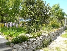 Image 22