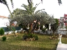 House in Peñiscola