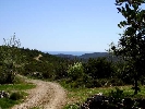 Propriété Rurale en Cervera