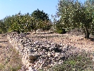 Propriété Rurale en Cervera