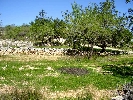 Propriété Rurale en Cervera