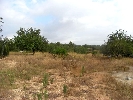 Image 20
