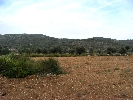 Propriété Rurale en Cervera