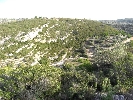 Propriété Rurale en Cervera
