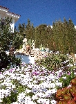 House in Peñiscola