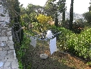 Haus in Peñiscola