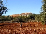 Finca en Cálig